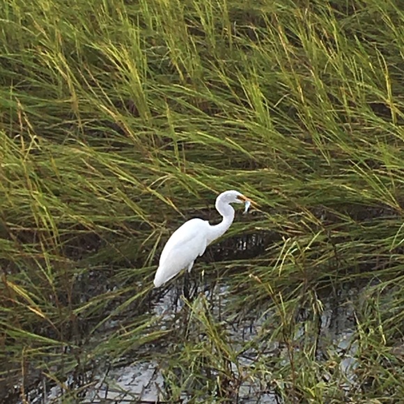 Meet your Posher, Angie - Picture 2 of 3